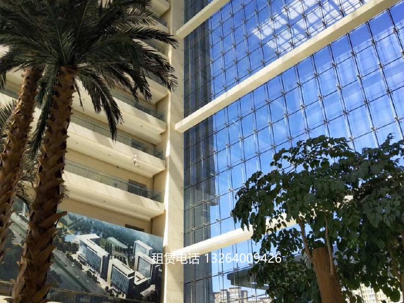 焦奥中心灯光图