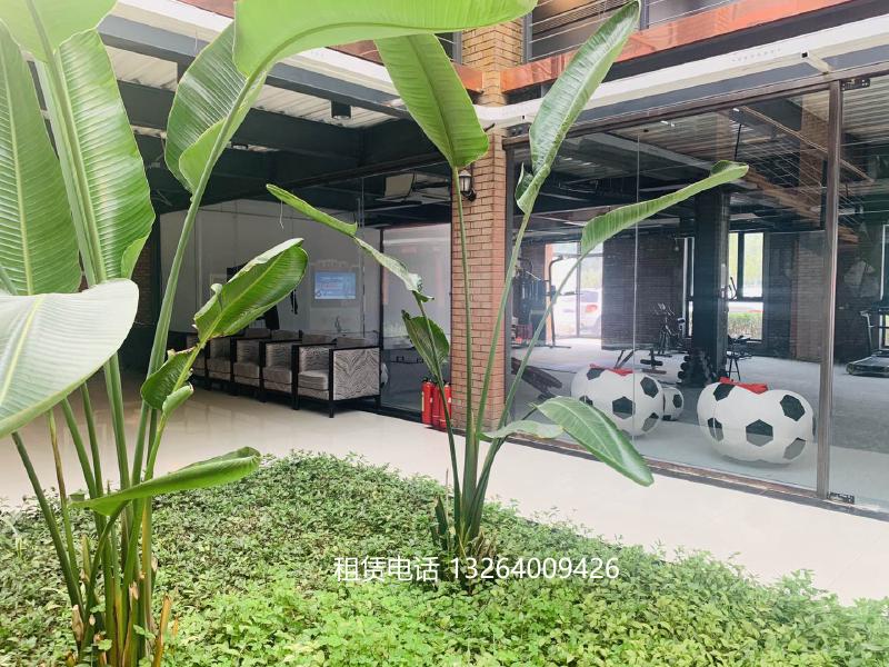 中泰国际环境图