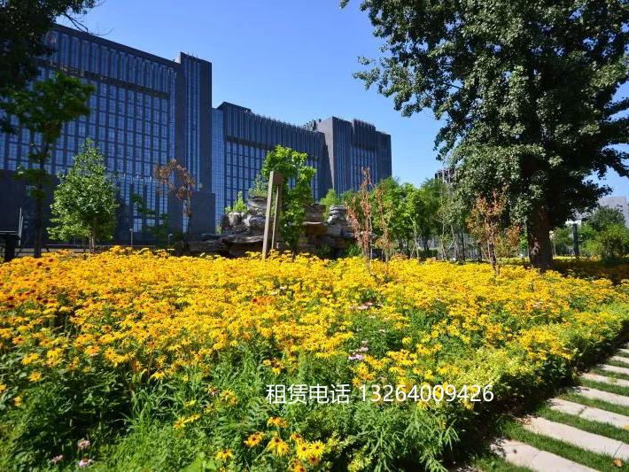 世通国际大厦外立面