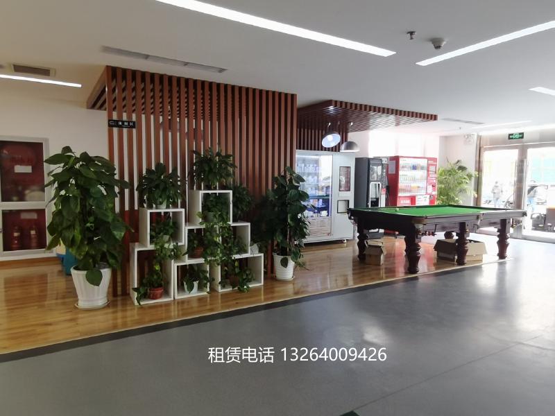 北美国际商务中心休闲区